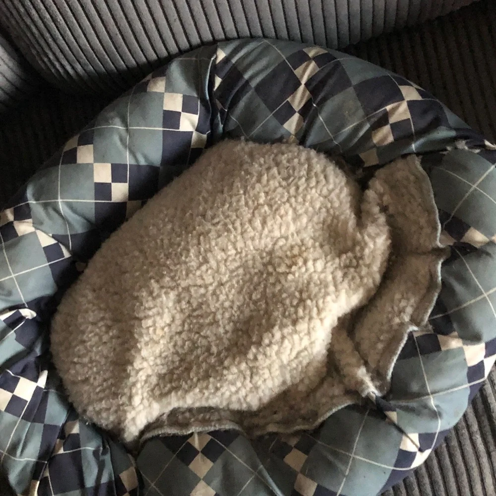 Argyle Pet Bed with Fleece Lining